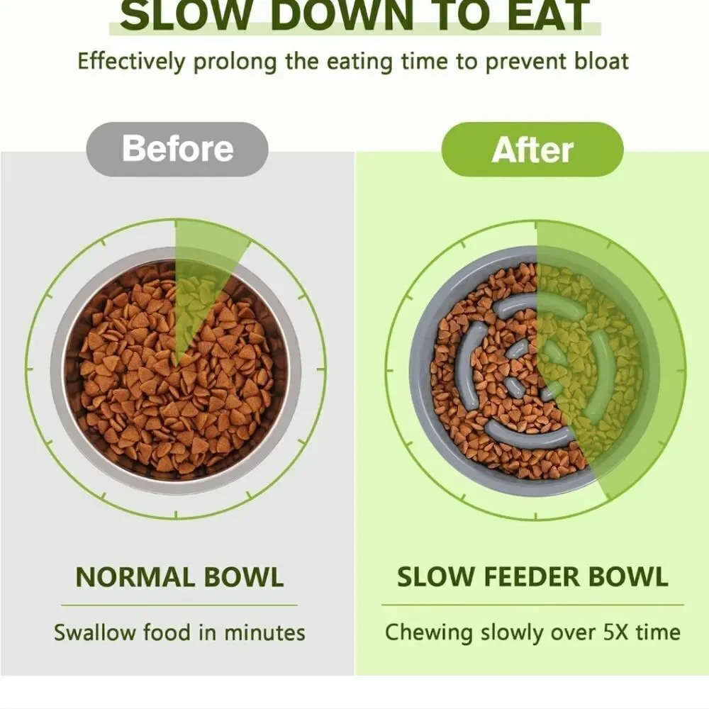 Silicone slow feeder mat and bowl for dogs